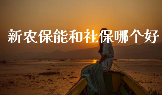 新农保能和社保哪个好_https://www.apanben.com_国际期货_第1张