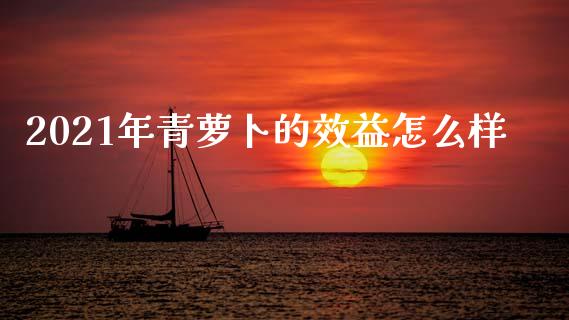 2021年青萝卜的效益怎么样_https://www.apanben.com_国际期货_第1张