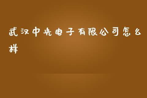 武汉中光电子有限公司怎么样_https://www.apanben.com_期货学院_第1张