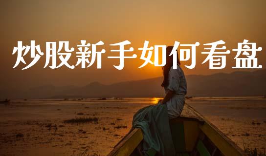 炒股新手如何看盘_https://www.apanben.com_国际期货_第1张