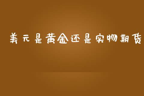 美元是黄金还是实物期货_https://www.apanben.com_期货学院_第1张
