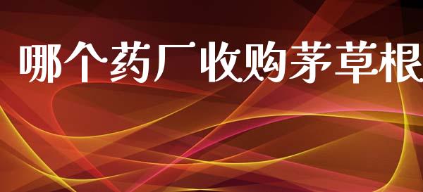 哪个药厂收购茅草根_https://www.apanben.com_期货学院_第1张