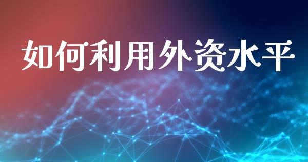 如何利用外资水平_https://www.apanben.com_期货学院_第1张