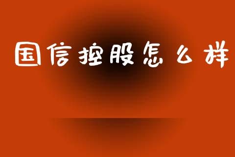 国信控股怎么样_https://www.apanben.com_财经资讯_第1张