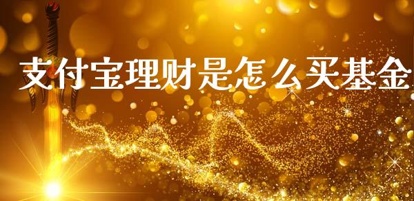 支付宝理财是怎么买基金_https://www.apanben.com_国际财经_第1张