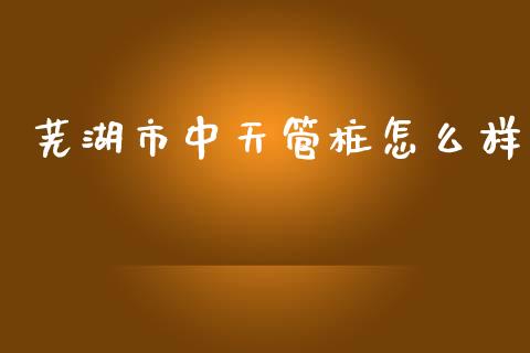 芜湖市中天管桩怎么样_https://www.apanben.com_国际财经_第1张