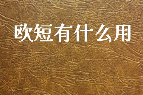 欧短有什么用_https://www.apanben.com_国际期货_第1张