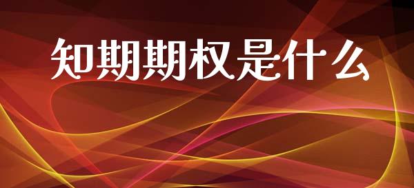 知期期权是什么_https://www.apanben.com_国际财经_第1张