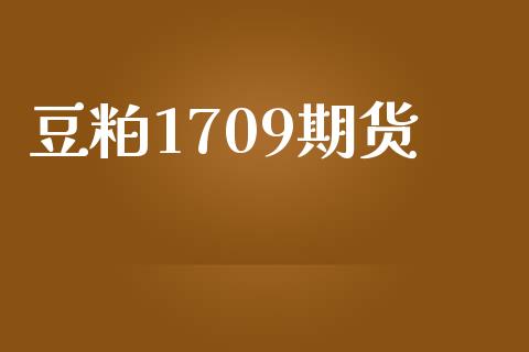 豆粕1709期货_https://www.apanben.com_股票怎么玩_第1张