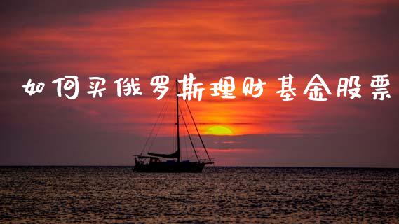 如何买俄罗斯理财基金股票_https://www.apanben.com_财经资讯_第1张