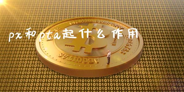 px和pta起什么作用_https://www.apanben.com_在线喊单_第1张