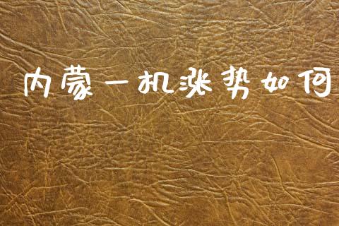 内蒙一机涨势如何_https://www.apanben.com_在线喊单_第1张