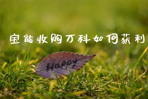 宝能收购万科如何获利_https://www.apanben.com_在线喊单_第1张