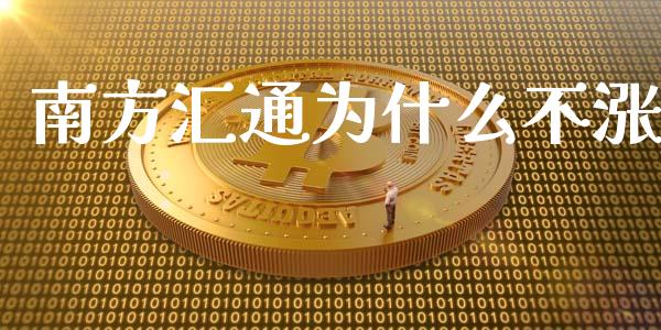 南方汇通为什么不涨_https://www.apanben.com_期货学院_第1张