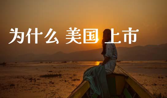 为什么 美国 上市_https://www.apanben.com_在线喊单_第1张