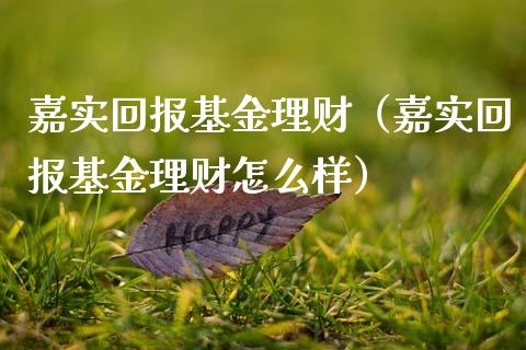 嘉实回报基金理财（嘉实回报基金理财怎么样）_https://www.apanben.com_国际财经_第1张