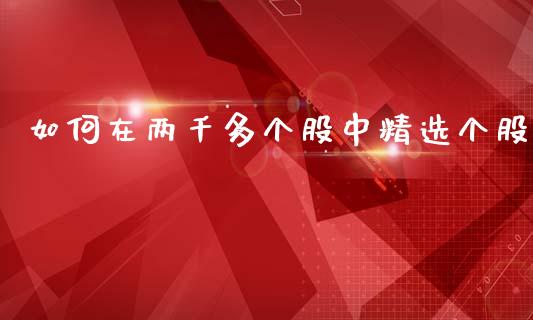 如何在两千多个股中精选个股_https://www.apanben.com_期货学院_第1张