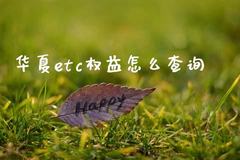 华夏etc权益怎么查询_https://www.apanben.com_股票怎么玩_第1张