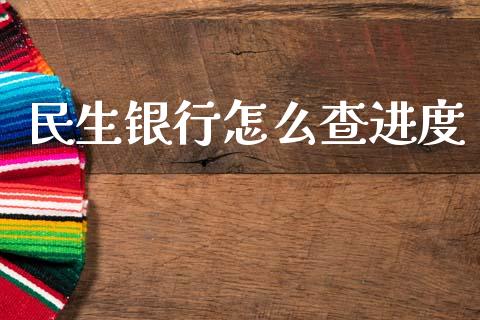 民生银行怎么查进度_https://www.apanben.com_股市分析_第1张