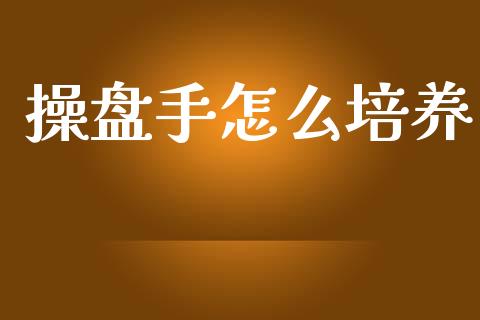 操盘手怎么培养_https://www.apanben.com_股市分析_第1张