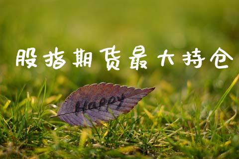 股指期货最大持仓_https://www.apanben.com_在线喊单_第1张