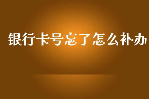 银行卡号忘了怎么补办_https://www.apanben.com_股市指导_第1张