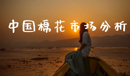 中国棉花市场分析_https://www.apanben.com_期货学院_第1张