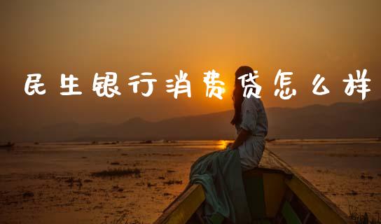 民生银行消费贷怎么样_https://www.apanben.com_期货学院_第1张