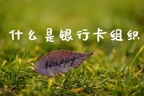什么是银行卡组织_https://www.apanben.com_国际财经_第1张