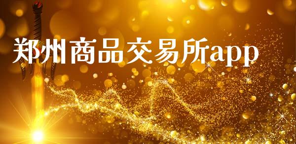 郑州商品交易所app_https://www.apanben.com_在线喊单_第1张