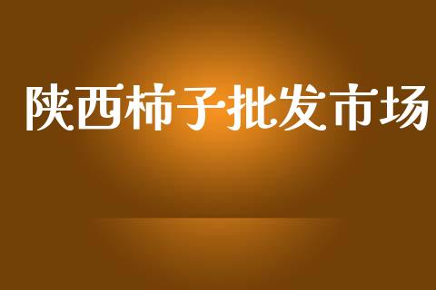 陕西柿子批发市场_https://www.apanben.com_股市指导_第1张