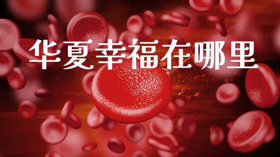 华夏幸福在哪里_https://www.apanben.com_财经资讯_第1张