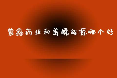 紫鑫药业和美锦能源哪个好_https://www.apanben.com_在线喊单_第1张