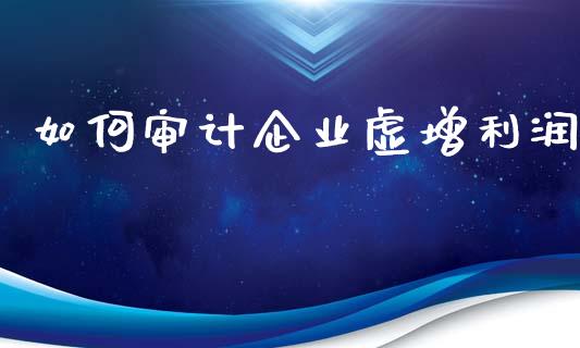 如何审计企业虚增利润_https://www.apanben.com_期货学院_第1张