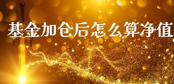基金加仓后怎么算净值_https://www.apanben.com_期货学院_第1张