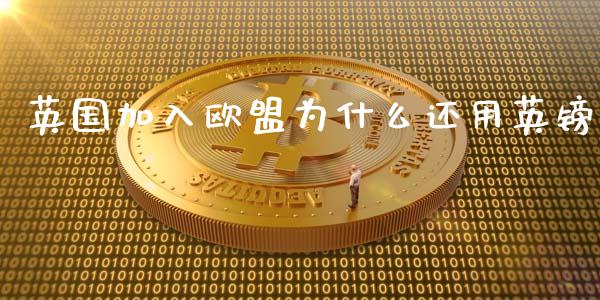 英国加入欧盟为什么还用英镑_https://www.apanben.com_在线喊单_第1张