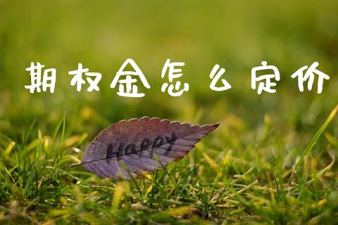 期权金怎么定价_https://www.apanben.com_财经资讯_第1张