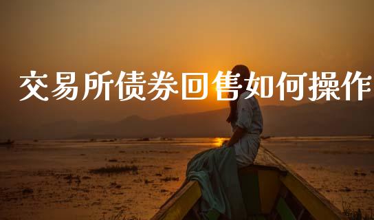 交易所债券回售如何操作_https://www.apanben.com_财经资讯_第1张