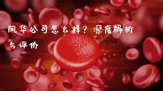 风华公司怎么样？深度解析与评价_https://www.apanben.com_股票怎么玩_第1张