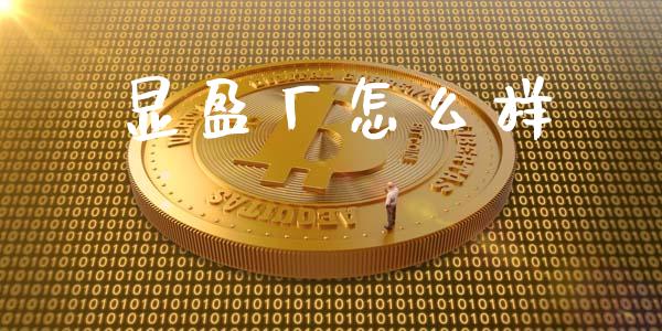 显盈厂怎么样_https://www.apanben.com_股市分析_第1张