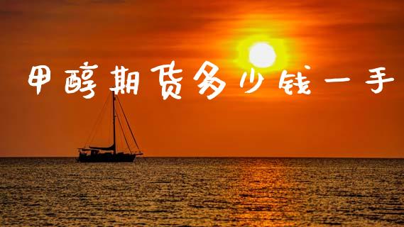 甲醇期货多少钱一手_https://www.apanben.com_国际期货_第1张