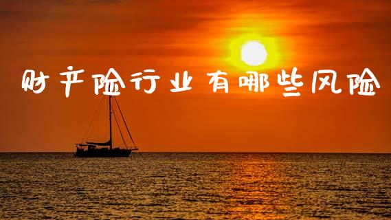 财产险行业有哪些风险_https://www.apanben.com_期货学院_第1张