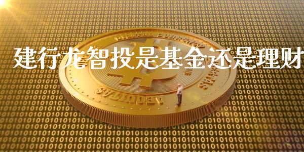 建行龙智投是基金还是理财_https://www.apanben.com_国际财经_第1张