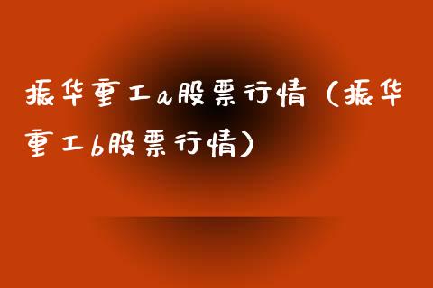 振华重工a股票行情（振华重工b股票行情）_https://www.apanben.com_股票怎么玩_第1张