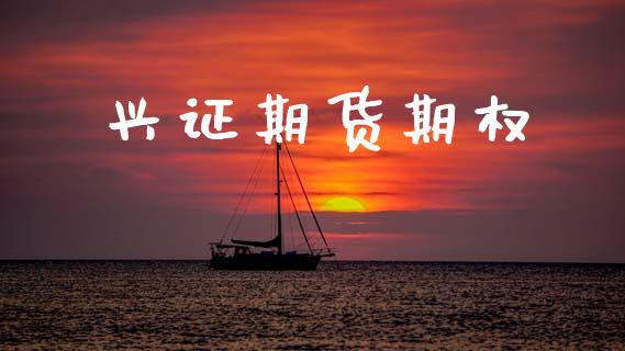 兴证期货期权_https://www.apanben.com_期货学院_第1张