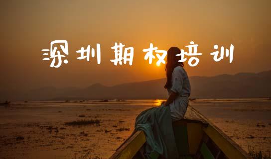 深圳期权培训_https://www.apanben.com_股市指导_第1张