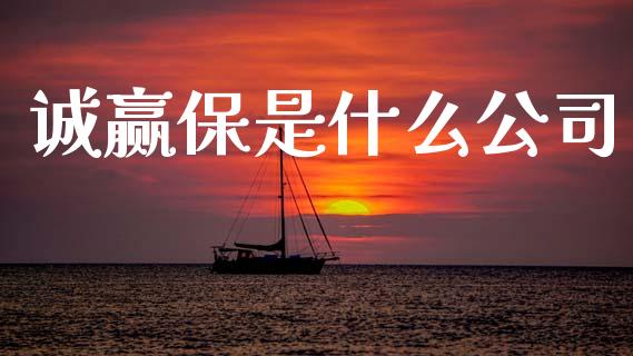 诚赢保是什么公司_https://www.apanben.com_财经资讯_第1张