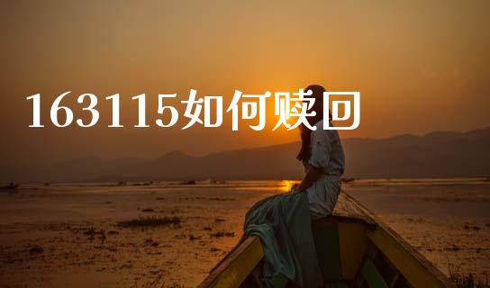 163115如何赎回_https://www.apanben.com_期货学院_第1张