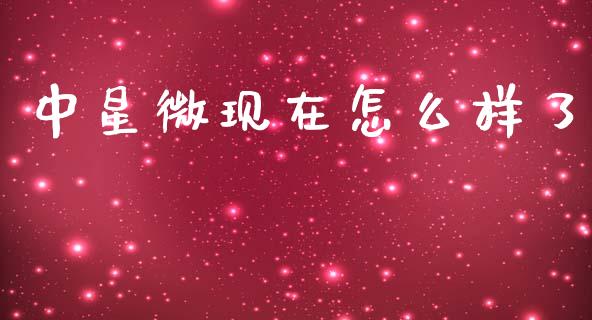 中星微现在怎么样了_https://www.apanben.com_国际期货_第1张