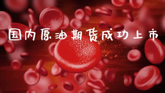 国内原油期货成功上市_https://www.apanben.com_国际期货_第1张
